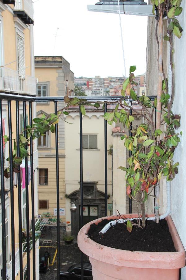 Apartamento Tiny Daisy House Nápoles Exterior foto